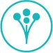 Review platform